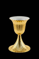 LIFE VAZO